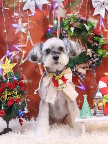 20231207来夢ちゃん